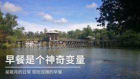 蓝狐视频